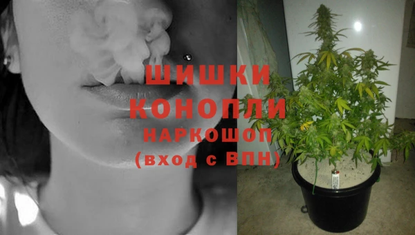 МДПВ Елабуга