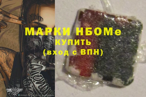 соль ск Ельня