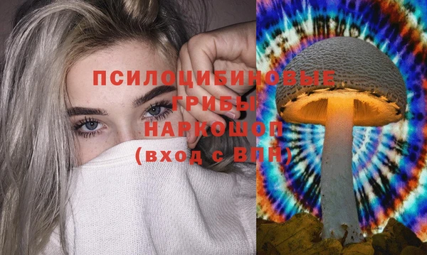 метамфетамин Алексеевка
