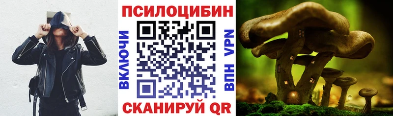Галлюциногенные грибы Magic Shrooms  omg tor  Лермонтов  магазин продажи  
